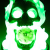 Arcane Skull Light Up Dice Guardian